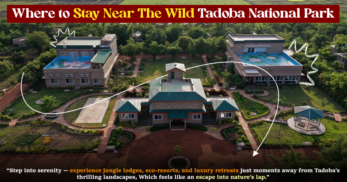 Where to Stay Near The Wild Tadoba National Park Where to Stay Near The Wild Tadoba National Park