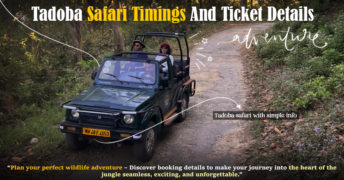 Tadoba Safari Timings And Ticket Details Tadoba Safari Timings And Ticket Details
