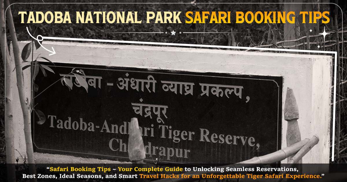 Tadoba National Park Safari Booking Tips Tadoba National Park Safari Booking Tips